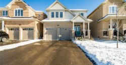 693 Mcmullen St, Shelburne, Ontario, L9V 3X4