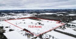 2052 Concession Road 4, L Rd, Adjala-Tosorontio, Ontario, L0G1L0