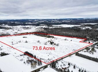 2052 Concession Road 4, L Rd, Adjala-Tosorontio, Ontario, L0G1L0