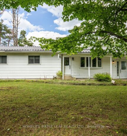 6168 County Road 9, Clearview, Ontario, L0M 1N0