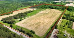 938433 and 938453 Airport Rd, Mulmur, Ontario, L0M 1K0