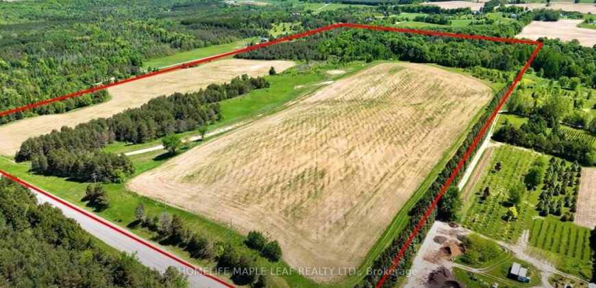 938433 and 938453 Airport Rd, Mulmur, Ontario, L0M 1K0