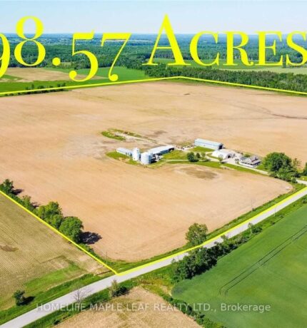 6830 3/4 Sdrd, Clearview, Ontario, L0M 1G0