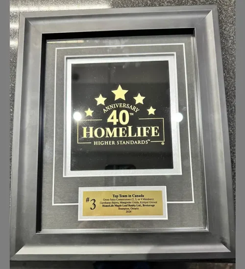 award_2025_9